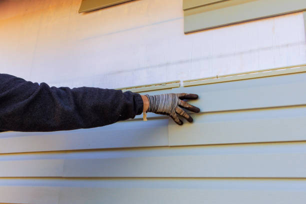 Best Storm Damage Siding Repair  in Fkville, AL